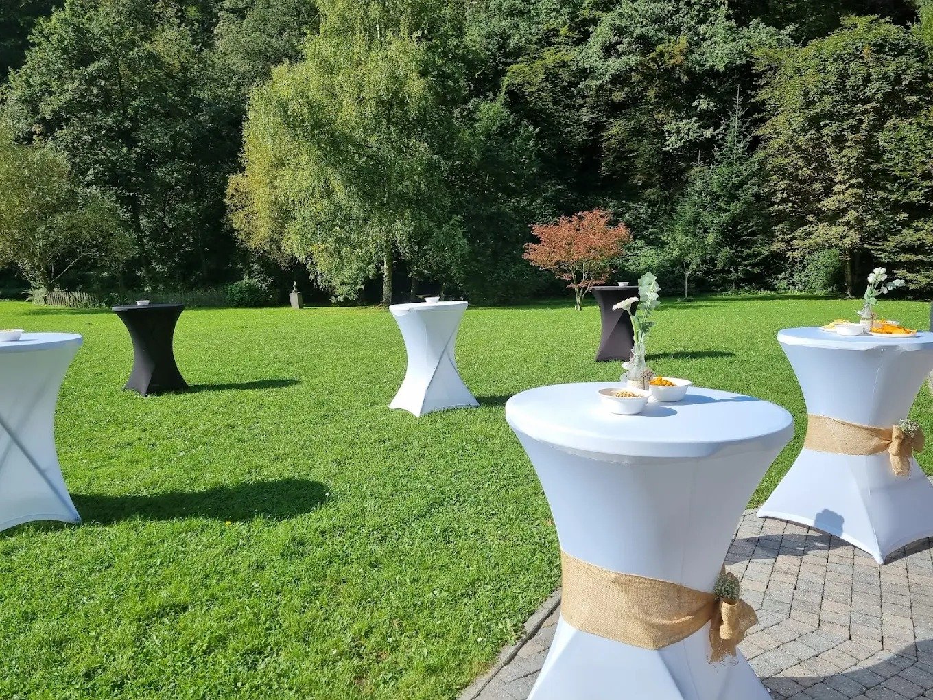 Terrasse et jardin